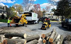 Yorkville, WI Tree Removal Company